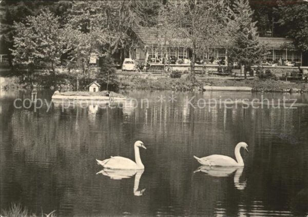 Frauenwald Thueringen Cafe Lenkgrund Schwan