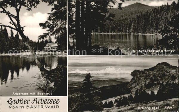 Arbersee Arbergipfel Arber Seehaus Bayerischer W