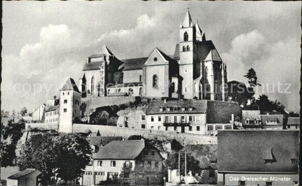 Breisach Rhein Münster