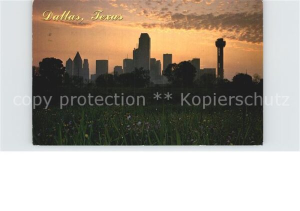 Dallas Texas Skyline