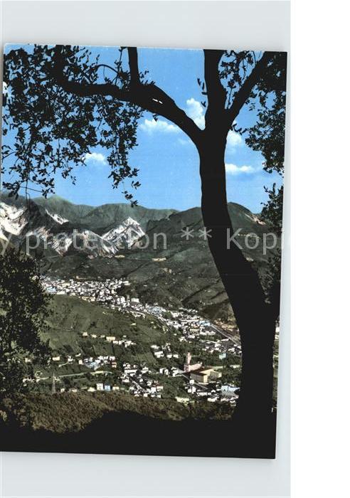 Carrara
