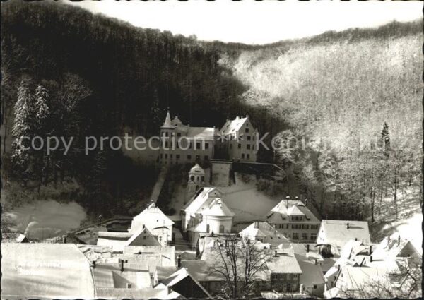 Schwaebische Alb Winterlandschaft Schloss