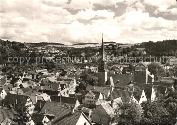 Calw Panorama