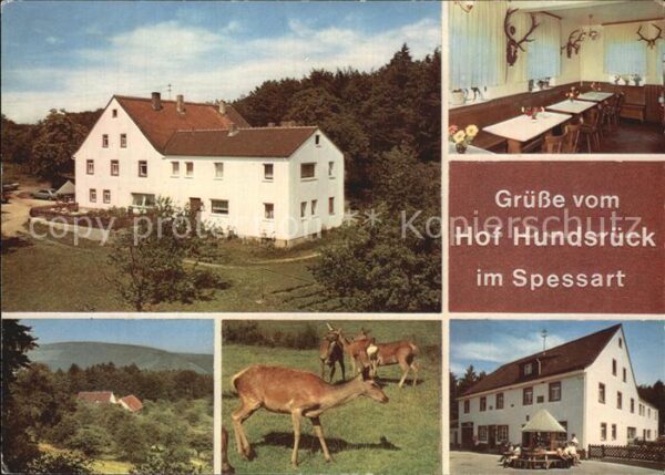 Eschau Unterfranken Restaurant Pension Hof Hundsrück