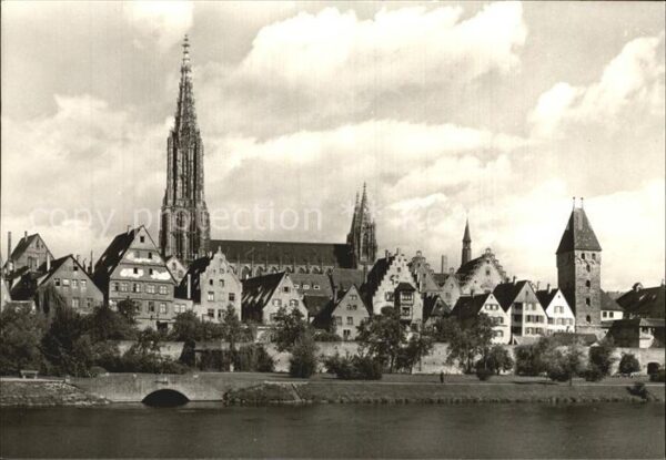 Ulm Donau Münster Donaupartie