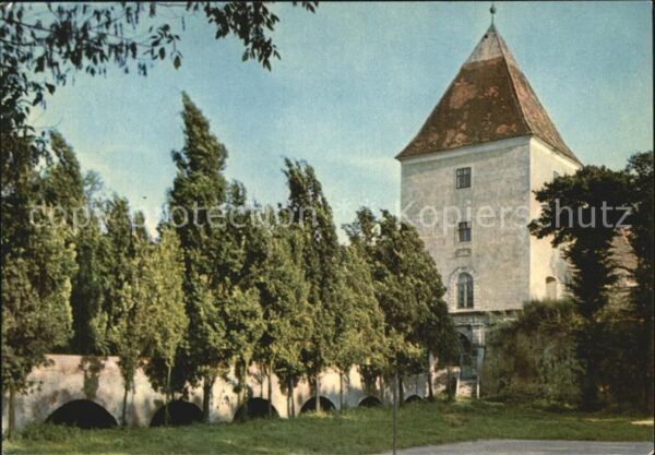 Sarvar Var Festung