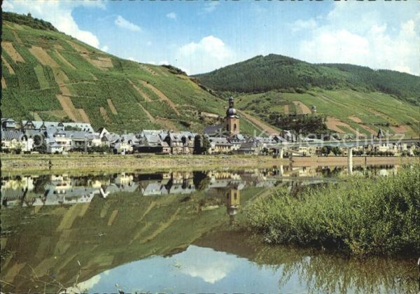 Zell Mosel Uferpartie am Fluss Wasserspiegelung We