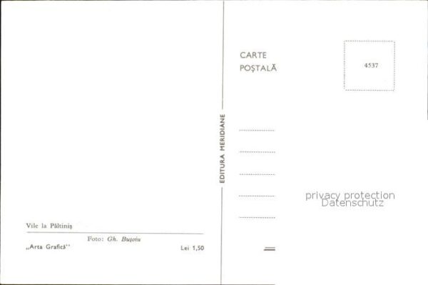 Paltinis Vile la Paltinis – Bild 2