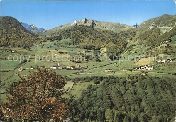 Martell Panorama