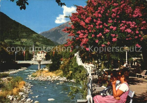 Meran Merano Passeggiata Kurpromenade Baumblüte