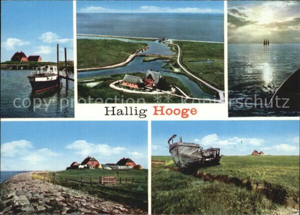 Hallig Hooge Bootsanleger Abendsonne Schiffswrack Fl
