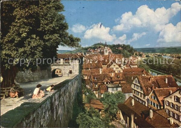 Tuebingen Blick von der Schlosslinde