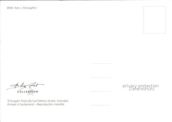 Gitarre E-Gitarre Paar – Bild 2