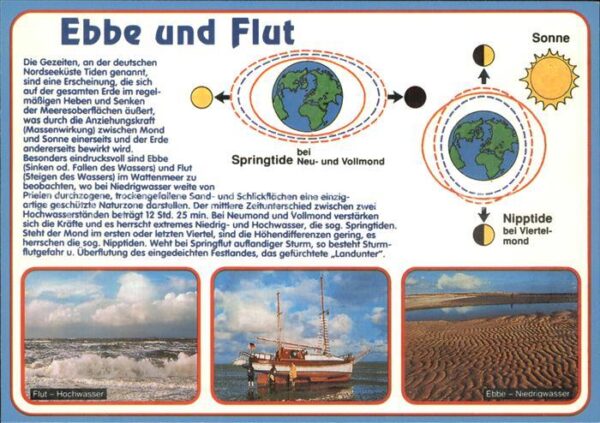 Wissenschaft Science Ebbe und Flut Springtide Nipptide