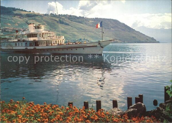Dampfer Seitenrad Italie Lac Leman