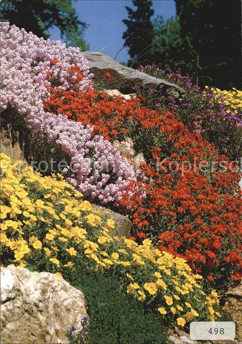 Blumen