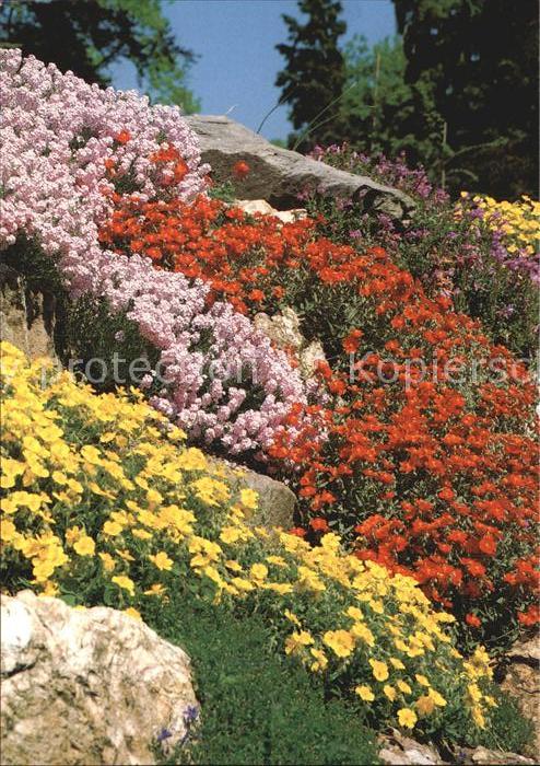 Blumen