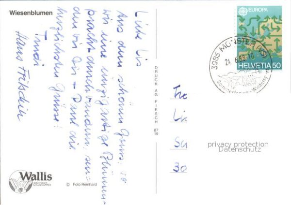 Blumen Wiesenblumen – Bild 2