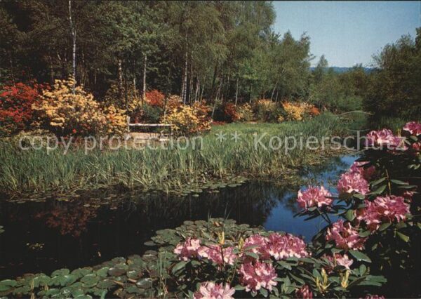 Blumen Park Seleger Moor Rifferswil