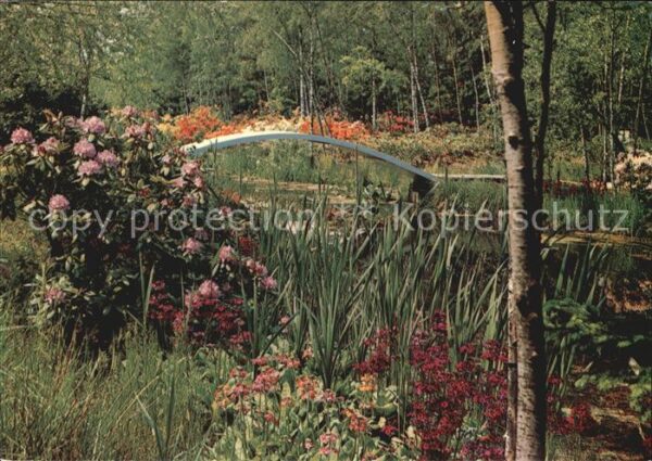 Blumen Park Seleger Moor Rifferswil