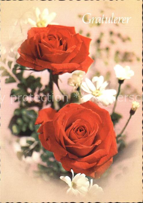 Rosen Glückwunsch