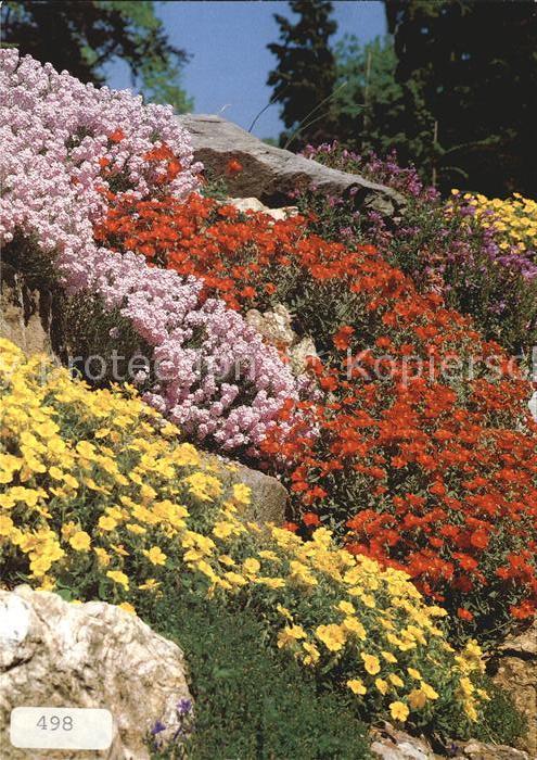 Blumen