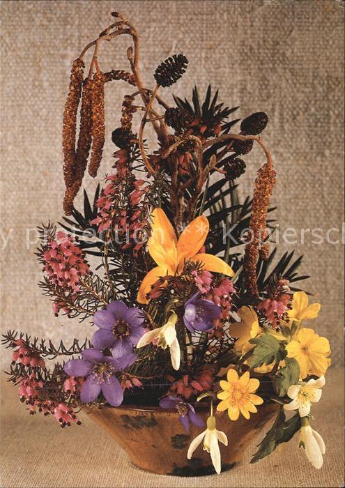 Blumen Leberblümchen Schneeglöckchen