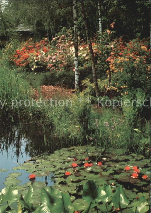 Blumen Park Seleger Moor Rifferswil