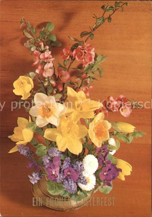 Blumen Ostern Narzissen