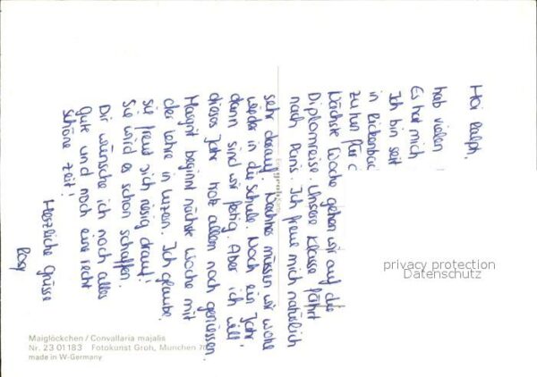 Maigloeckchen – Bild 2
