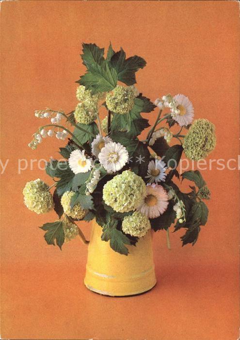 Blumen Margeriten