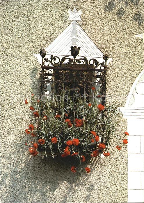 Blumen Engadin Blumenfenster