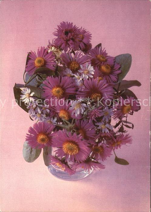 Blumen Glückwunsch Geburtstag