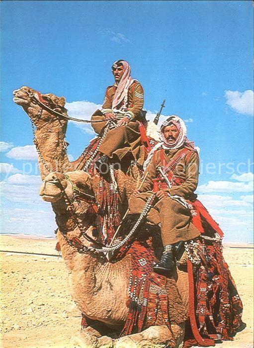 Kamel  Camel Chameau Typen Jordanien