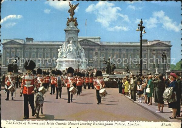 Leibgarde Wache Corps of Drums Irish Guards Mascot Buck