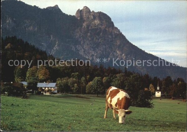 Kuehe Schlafende Hexe Loipl