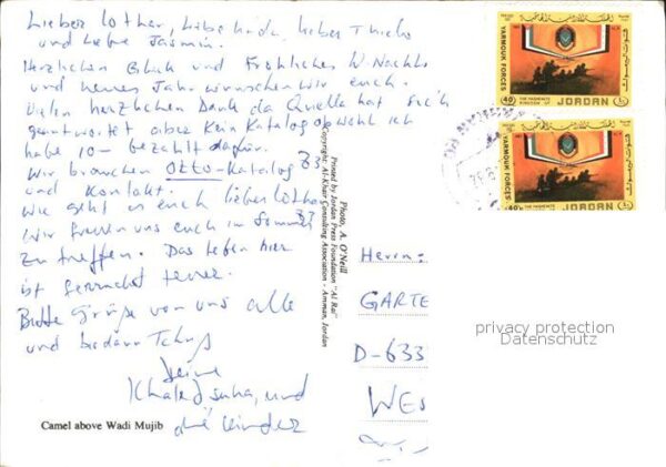 Kamel  Camel Chameau Wadi Mujib Jordan – Bild 2