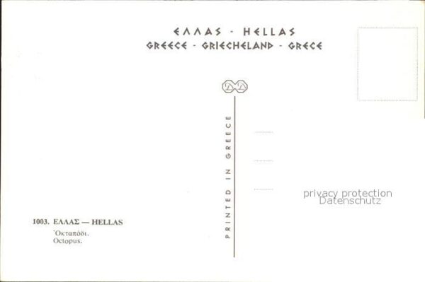 Meerestiere Octopus Hellas Griechenland – Bild 2
