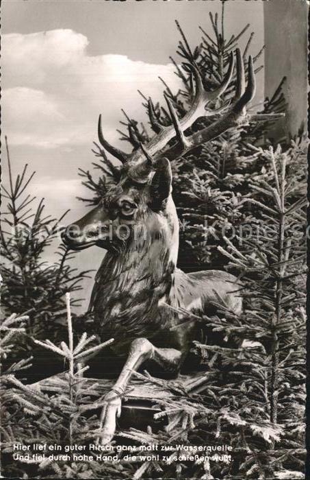 Hirsch Bad Teinach Schwarzwald Hirschquelle Tr
