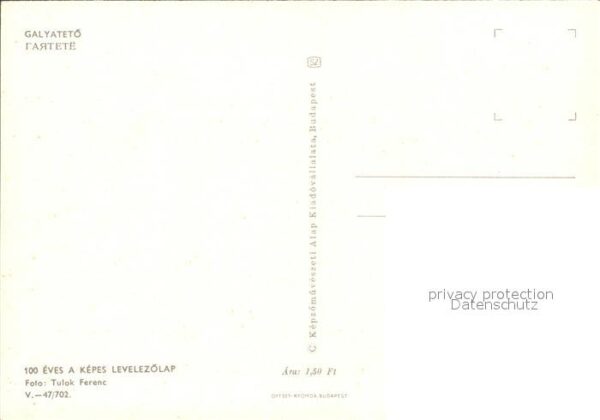 Hirsch Galyateto Ungarn – Bild 2