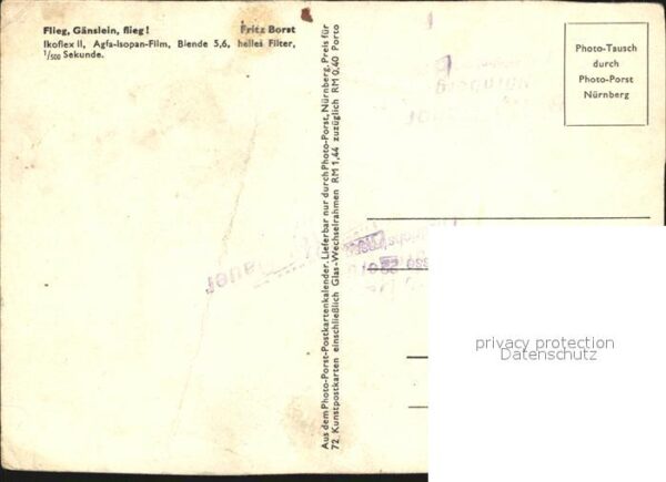 Gefluegel Flieg Gänslein flieg Fritz Borst – Bild 2