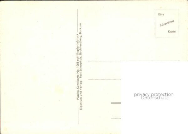 Moewen Borkum – Bild 2