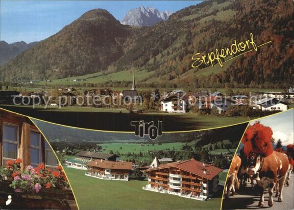 Erpfendorf Panorama Hotel Almabtrieb