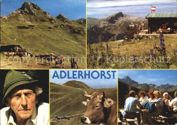 Riezlern Kleinwalsertal Vorarlberg Adlerhorst Kanzelwand Terrasse