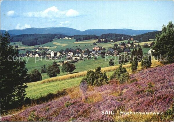 Saig Schwarzwald Hochschwarzwald Panorama