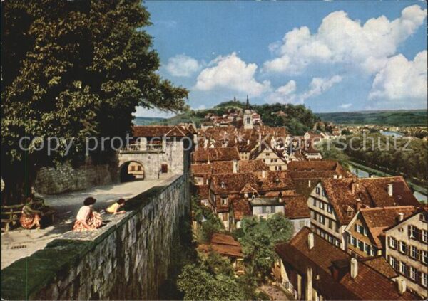 Tuebingen Blick von der Schlosslinde