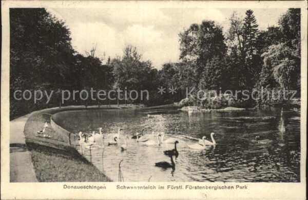 Donaueschingen Schwanenteich im Fürstlichen Park