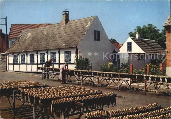 Bornholm Aarsdale Rogeri
