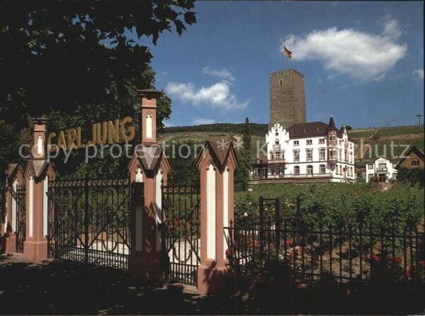 Ruedesheim Rhein Weingut Schloss Boosenburg Carl Jung