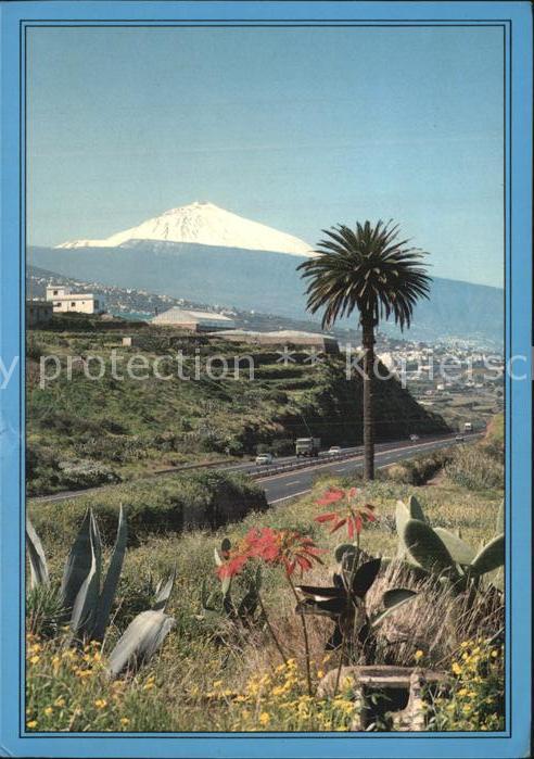 Tenerife Paisaje del Teide